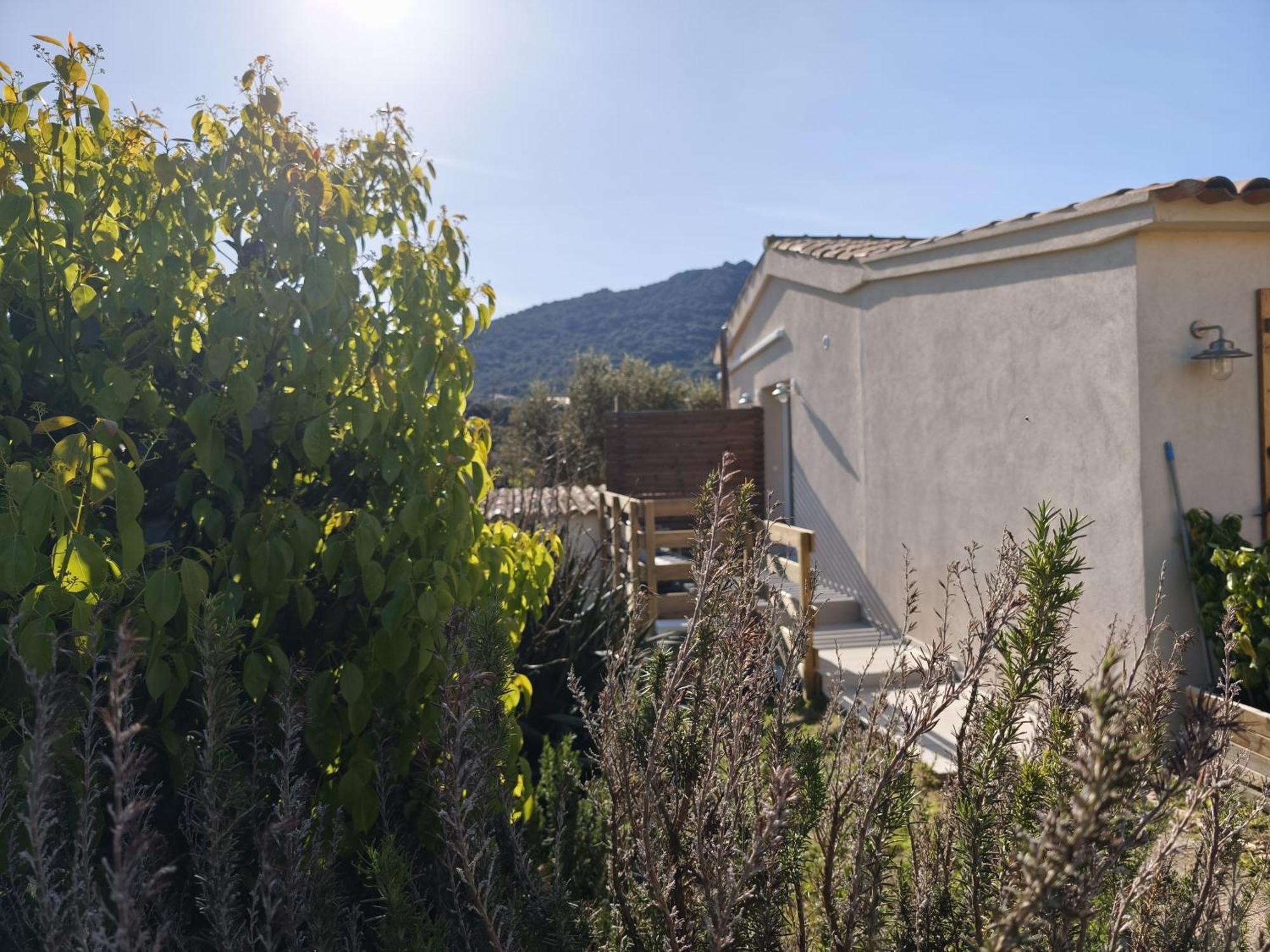 Chambres Isula Bella Figari (Corsica) Quarto foto